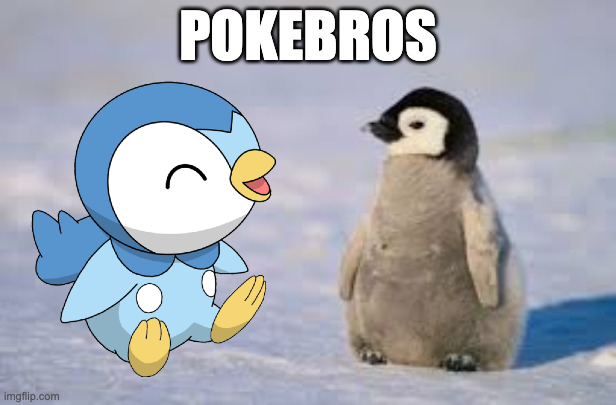 pokebros logo.jpg