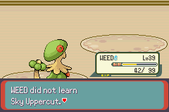 Pokemon Blazed Glazed_152.png