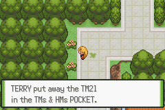 Pokemon Blazed Glazed_20.png
