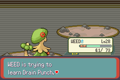 Pokemon Blazed Glazed_258.png