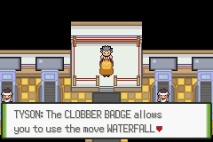 Pokemon Blazed Glazed_313.png