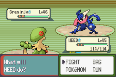 Pokemon Blazed Glazed_337.png