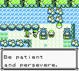 Pokemon - Cramorant Version (UE) [C][!] (patched)_09.png