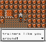 Pokemon - Cramorant Version (UE) [C][!] (patched)_106.png