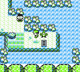 Pokemon - Cramorant Version (UE) [C][!] (patched)_12.png