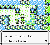 Pokemon - Cramorant Version (UE) [C][!] (patched)_12.png