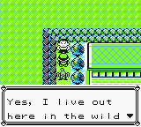 Pokemon - Cramorant Version (UE) [C][!] (patched)_56.png