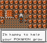 Pokemon - Cramorant Version (UE) [C][!] (patched)_74.png