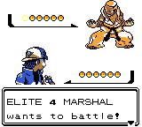 Pokemon - Crystal Version (UE) (V1.1) [C][!]-10.png
