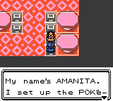 Pokemon - Crystal Version (UE) (V1.1) [C][!]-15.png