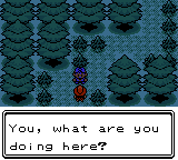 Pokemon - Crystal Version (UE) (V1.1) [C][!]-18.png