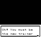 Pokemon - Crystal Version (UE) (V1.1) [C][!]-2.png