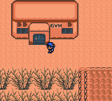 Pokemon - Crystal Version (UE) (V1.1) [C][!]-2.png