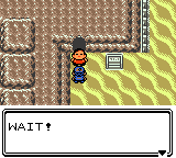 Pokemon - Crystal Version (UE) (V1.1) [C][!]-4.png