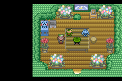 Pokemon Emerald-12.png