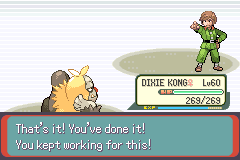 Pokemon Emerald-8.png