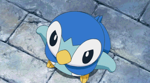 pokemon-memes-piplup-gif.gif