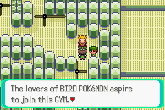 Pokemon Midele Emerald_01.png