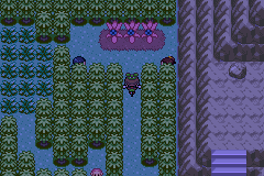 Pokemon Midele Emerald_04.png