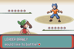Pokemon Midele Emerald_05.png
