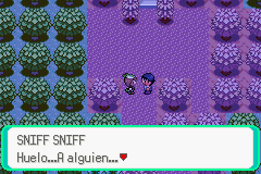 Pokemon Midele Emerald_06.png