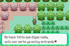 Pokemon Midele Emerald_07.png