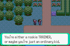 Pokemon Midele Emerald_08.png