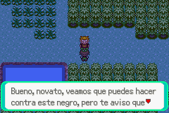 Pokemon Midele Emerald_08.png