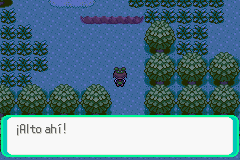 Pokemon Midele Emerald_09.png