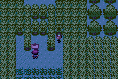 Pokemon Midele Emerald_09.png