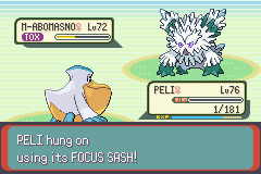 Pokemon Midele Emerald_09.png