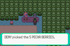 Pokemon Midele Emerald_13.png