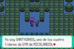 Pokemon Midele Emerald_13.png