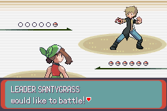Pokemon Midele Emerald_13.png