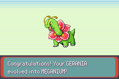 Pokemon Midele Emerald_14.png