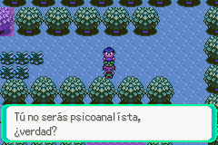 Pokemon Midele Emerald_14.png