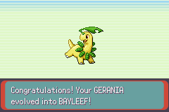 Pokemon Midele Emerald_15.png