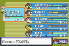 Pokemon Midele Emerald_15.png