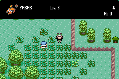 Pokemon Midele Emerald_19.png