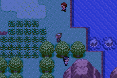 Pokemon Midele Emerald_20.png