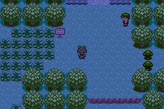 Pokemon Midele Emerald_22.png