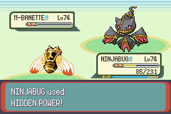 Pokemon Midele Emerald_22.png
