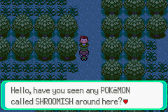 Pokemon Midele Emerald_23.png