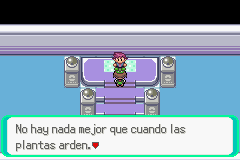 Pokemon Midele Emerald_26.png