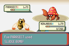 Pokemon Midele Emerald_31.png