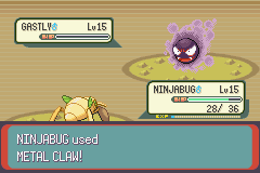 Pokemon Midele Emerald_39.png
