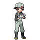 pokemonbreeder-gen8.png