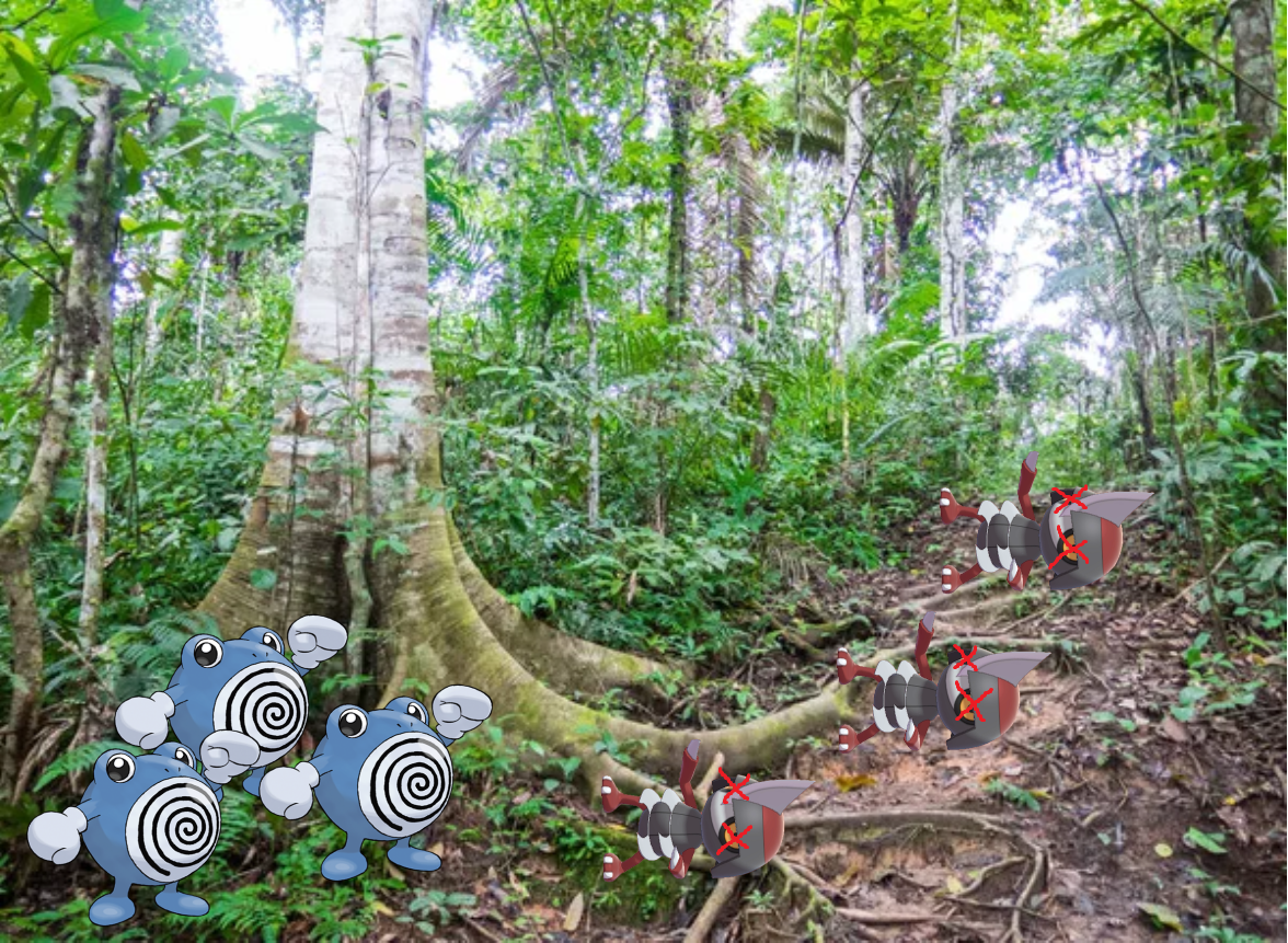Poliwhirl.png