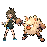 primeape.png