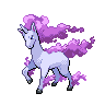 purple rapidash.png